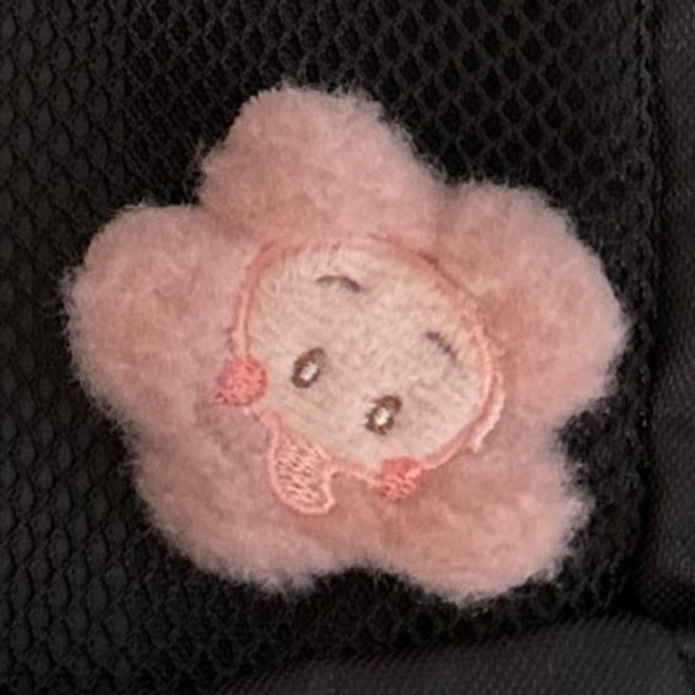 Meet your Posher, Sue